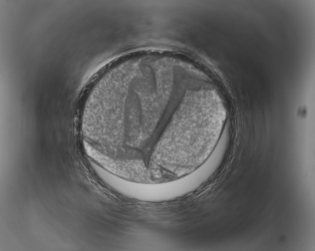 X0000114651352200912011102