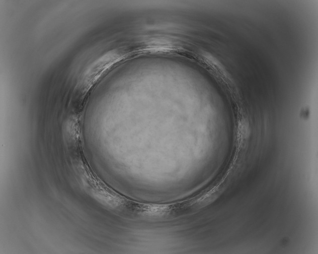 X0000114651353200912011102