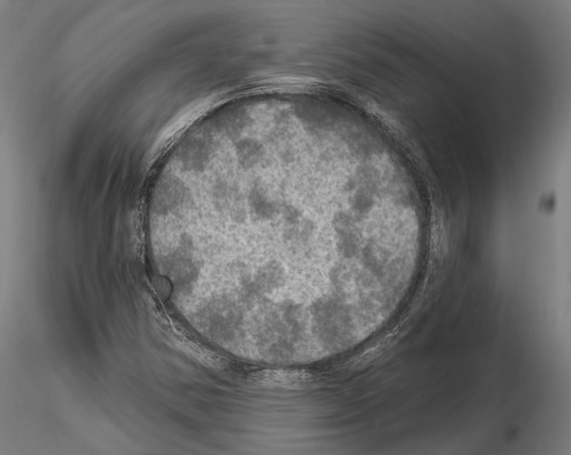 X0000114651354200912011102