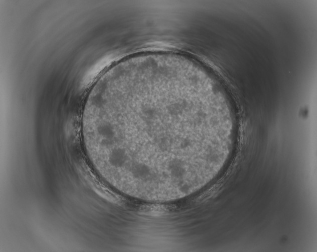 X0000114651355200912011102