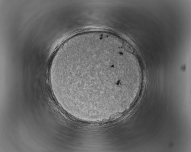 X0000114651357200912011102