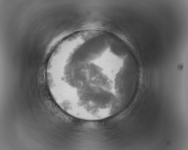 X0000114651358200912011102