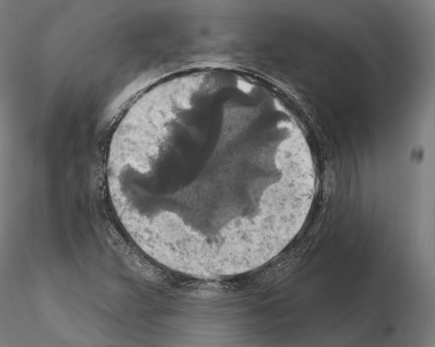 X0000114651359200912011102