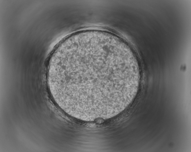 X0000114651360200912011102