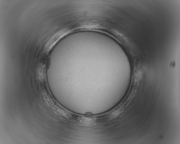 X0000114651361200912011102