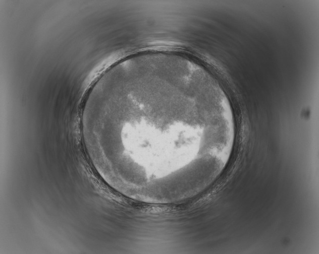 X0000114651362200912011102