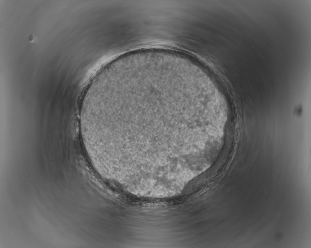 X0000114651363200912011102