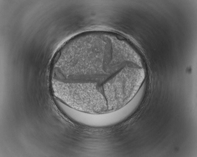 X0000114651364200912011102