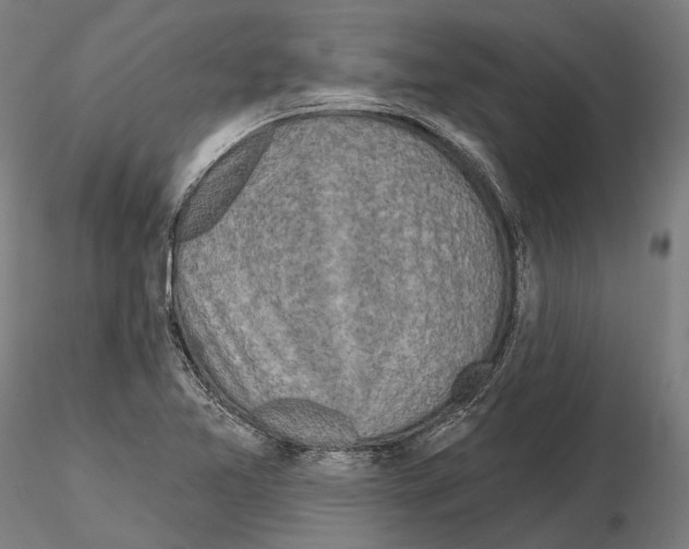 X0000114651365200912011102