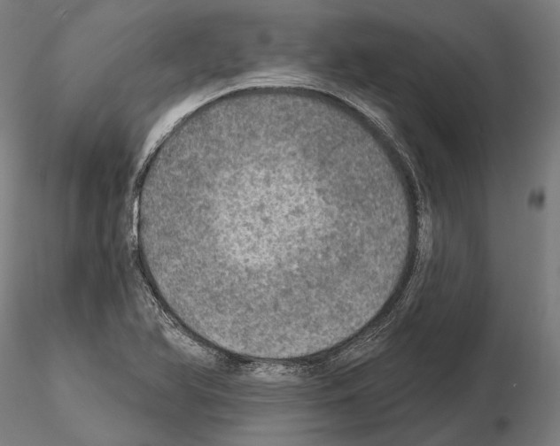 X0000114651366200912011102