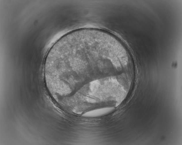 X0000114651367200912011102