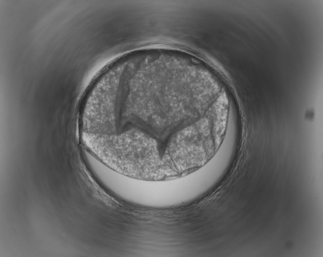 X0000114651368200912011102