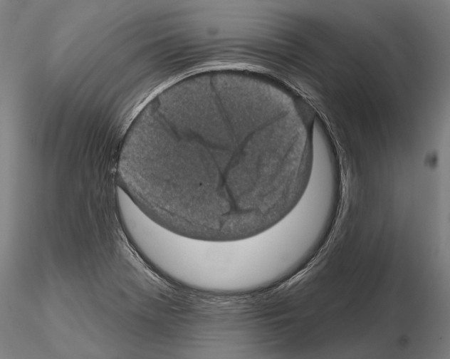 X0000114651369200912011102