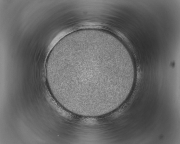 X0000114651370200912011102