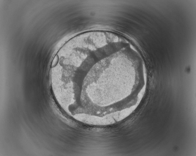 X0000114651371200912011102