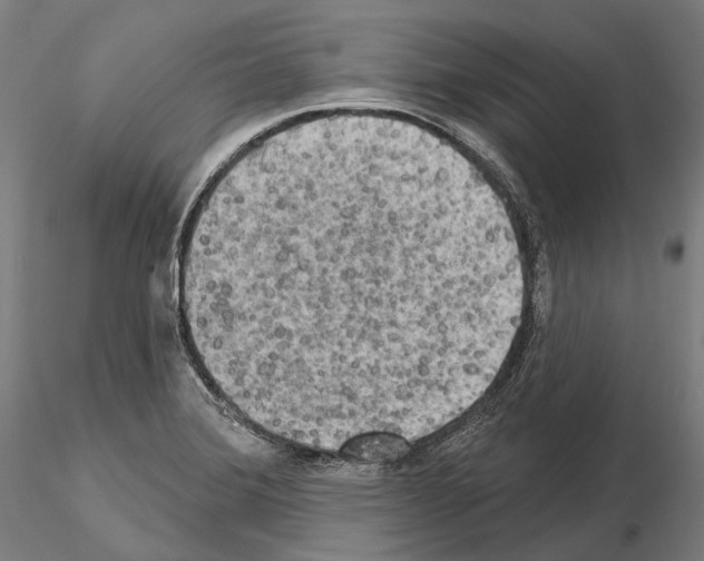 X0000114651372200912011102