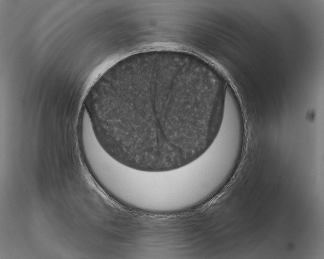 X0000114651373200912011102