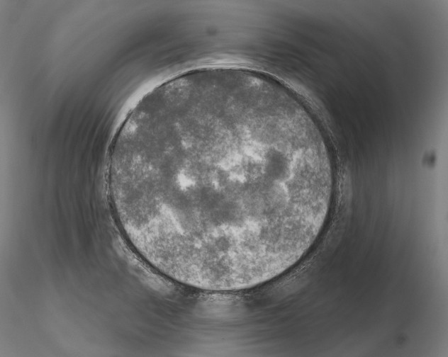 X0000114651374200912011102