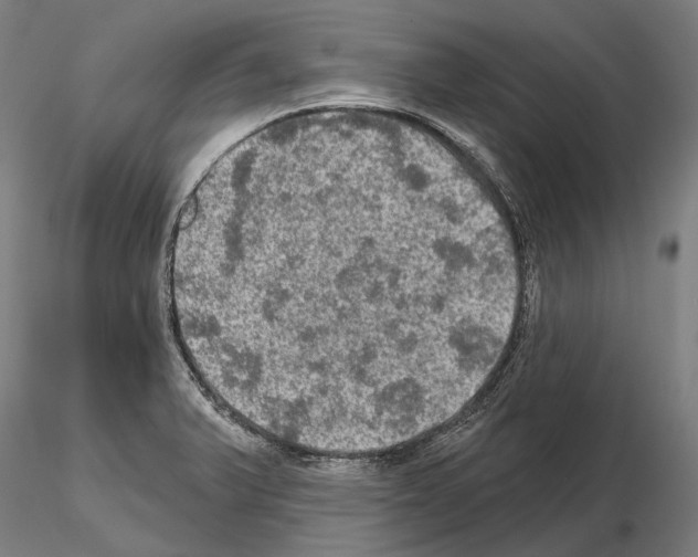 X0000114651375200912011102