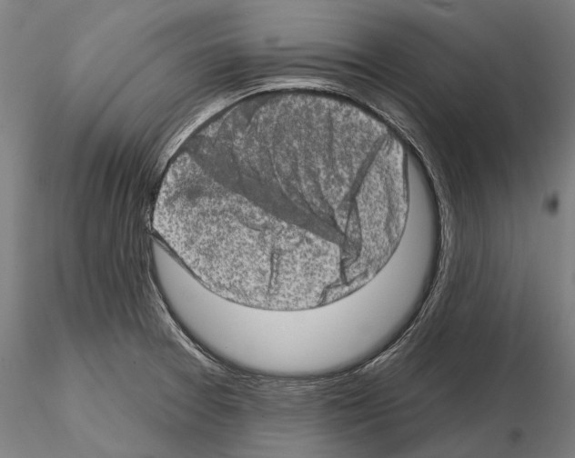 X0000114651377200912011102