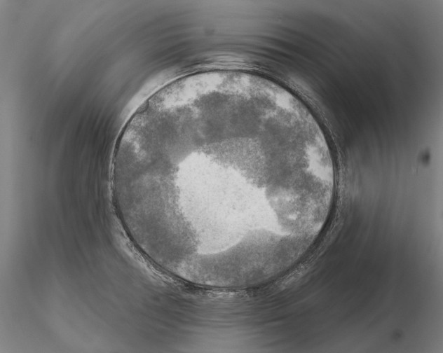 X0000114651378200912011102