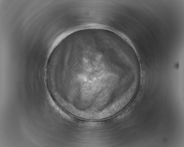 X0000114651381200912011102