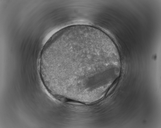 X0000114651383200912011102