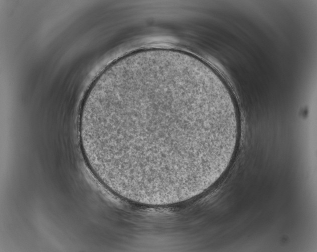 X0000114651384200912011102