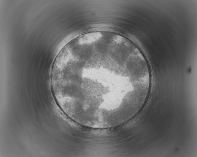 X0000114651386200912011102