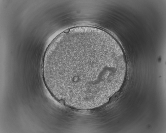 X0000114651387200912011102