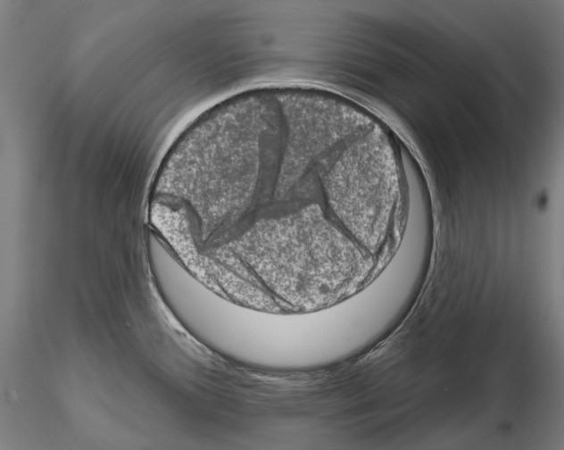 X0000114651388200912011102