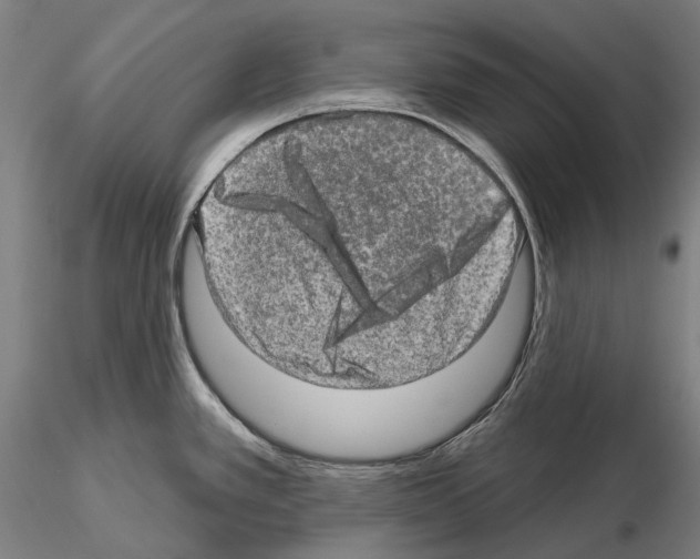 X0000114651389200912011102