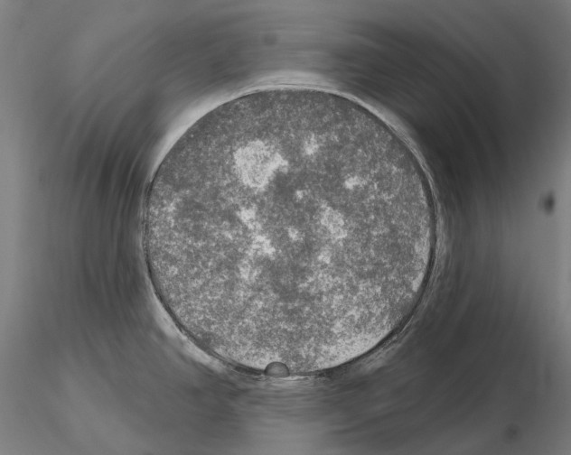 X0000114651390200912011102