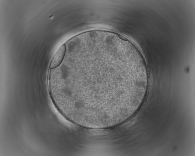 X0000114651391200912011102