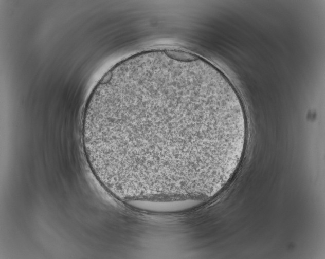 X0000114651392200912011102