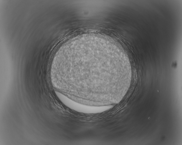 X0000114651393200912011101