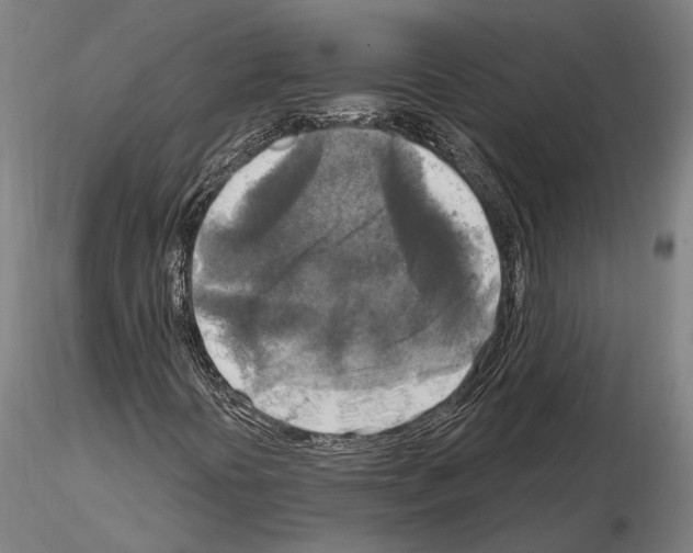 X0000114651394200912011101