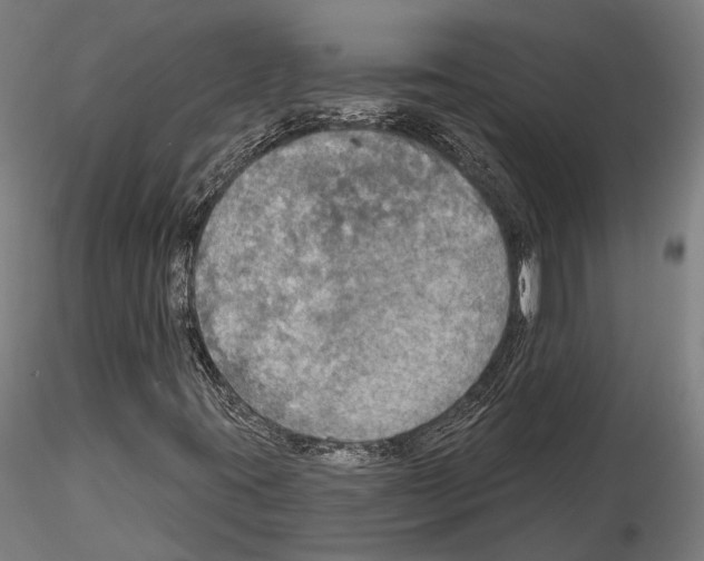 X0000114651395200912011101