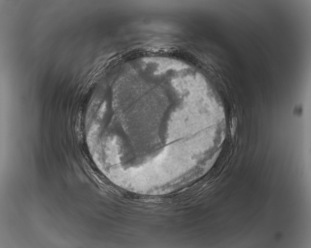 X0000114651396200912011101