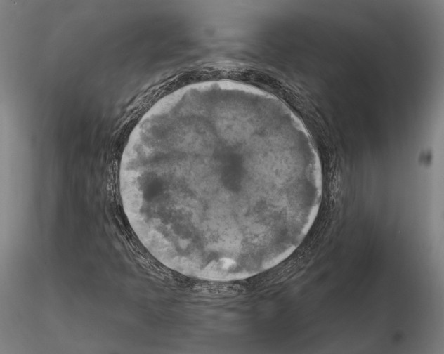 X0000114651397200912011101