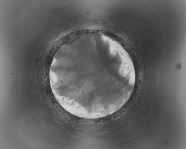 X0000114651398200912011101