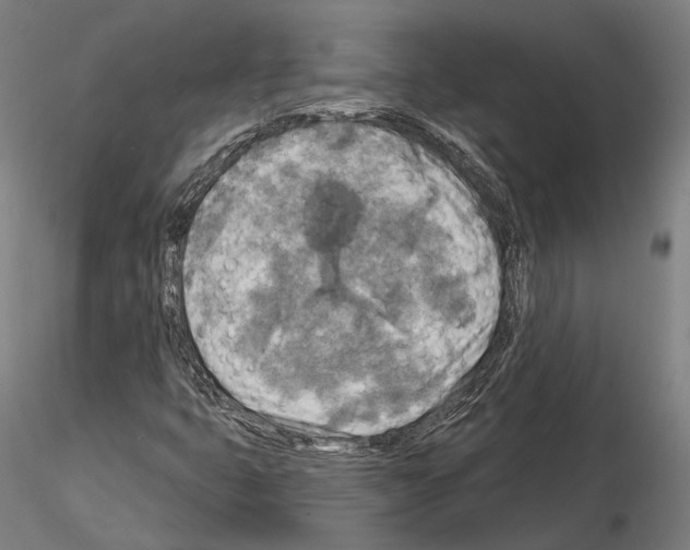 X0000114651399200912011101