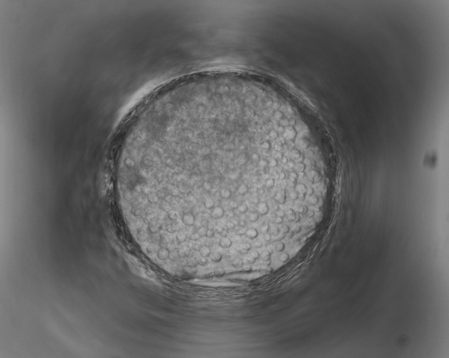 X0000114651400200912011101