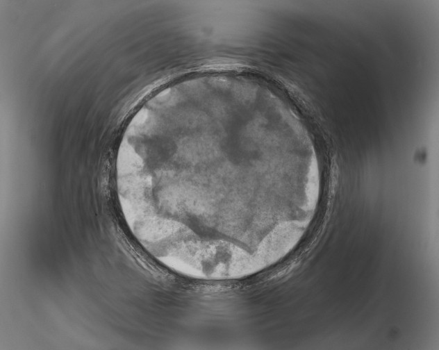 X0000114651401200912011101