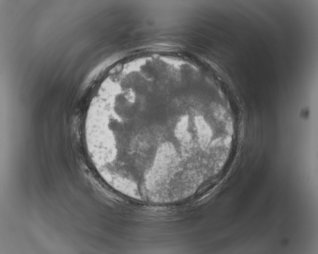 X0000114651402200912011101