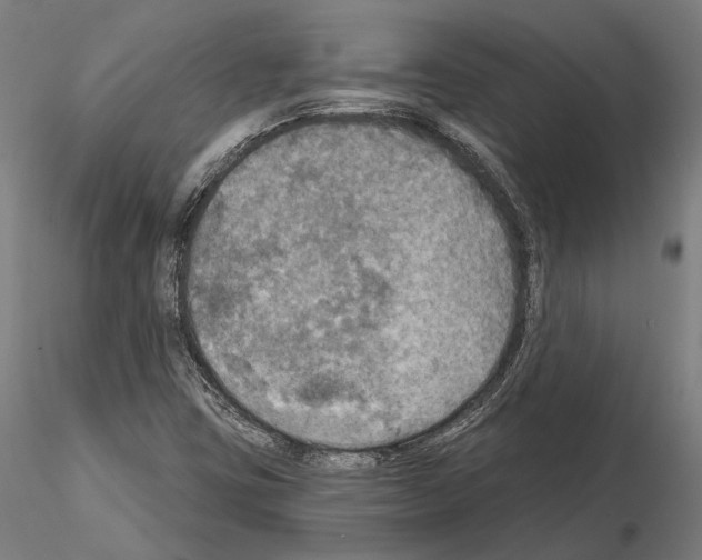 X0000114651403200912011101