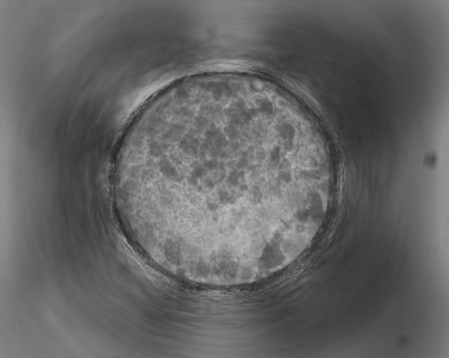 X0000114651404200912011101