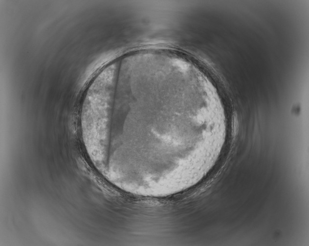 X0000114651405200912011101