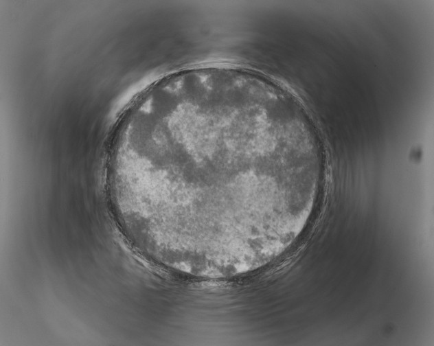 X0000114651406200912011101