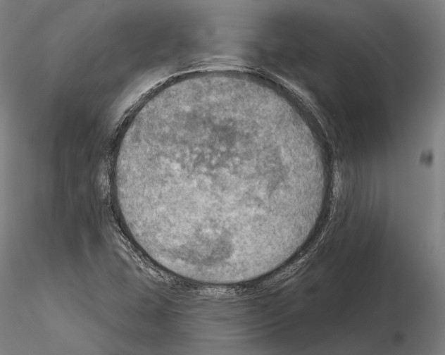 X0000114651407200912011101